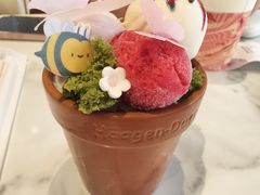 -哈根达斯(滨江店)