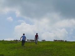 -空中草原