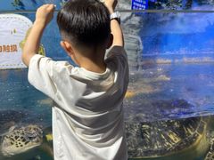 -烟台海昌鲸鲨海洋公园