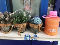 -milkplus·泰式奶茶(较场东路店)