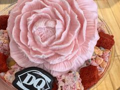 -DQ·蛋糕·冰淇淋(中南城店)