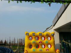 -田园东方蜜桃村的田野营地