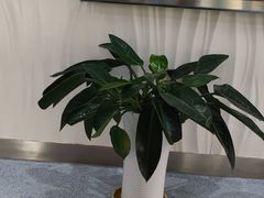 -圣贝口腔(海淀店)