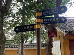 -珞珈山-售票处