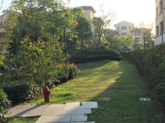 -上海崇明金茂凯悦酒店