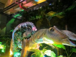 -恐龙探索乐园(磁器口店)