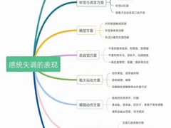 -金色雨林学习力培优(专注力提升)