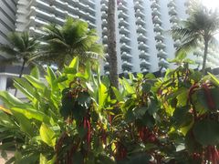 -塞班肯辛顿酒店Kensington Hotel Saipan