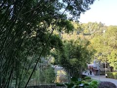 -火炉山森林公园