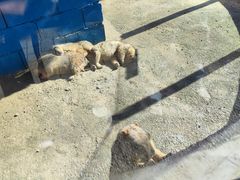 -博山九龙峪风景区