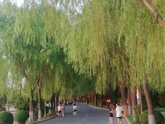 -丁香湖公园