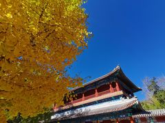 -潭柘寺景区