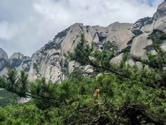 -天柱山风景区