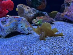 -上海海洋水族馆