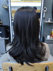 点击看大图 -藤野造型