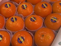 -江杨农产品批发市场