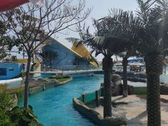 -秦皇岛乐岛海洋王国