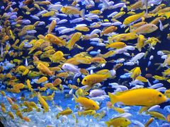 -成都浩海立方海洋公园