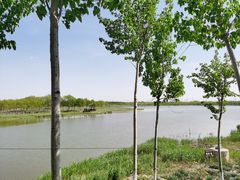 -西青郊野公园