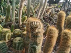 -南山植物园