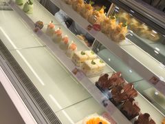 -蒲公英(五里店)