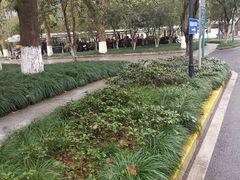 -浙江医院(灵隐院区)