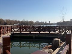 -河北省园博园