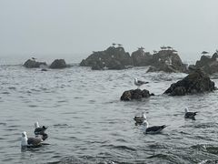 -银沙滩浴场