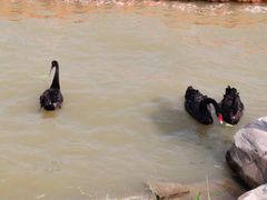 -天津东丽湖风景区