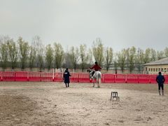 -北京群众马术培训基地