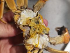 河蟹-乔哥铭洋海鲜自助(皇城恒隆广场店)