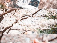 -浙江大学(玉泉校区)