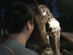 -清迈夜间动物园