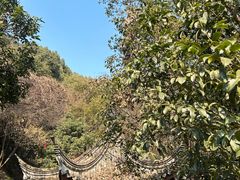 -宁波市保国寺古建筑博物馆