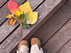 -汉长安城未央宫国家考古遗址公园