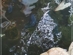 -耕渔小院·湖南鱼鲜(望城店)