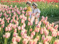 -北京国际鲜花港