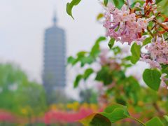 -西海子公园