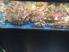 -盒马鲜生(皇庭广场店)