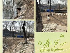 -东郊湿地公园