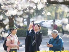 -武汉大学-樱园