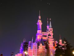 -上海迪士尼度假区