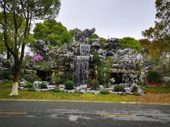 -上海鲜花港
