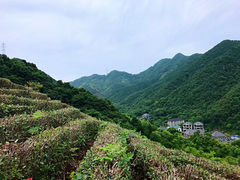 -午潮山国家森林公园