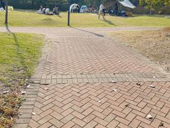 -吴淞炮台湾湿地森林公园烧烤区