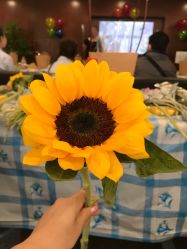 -兴亚瑜伽20年老馆