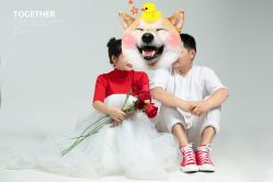 点击看大图 -京尚映画摄影