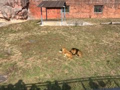 -无锡动物园·太湖欢乐园