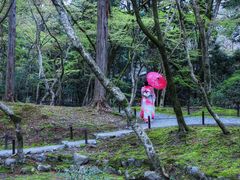 -樱京和服租赁体验(京都总店)