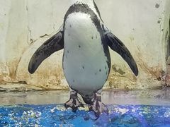 -太平洋海底世界